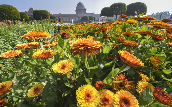 News in Photos (2 February 2020) | Photos of Top News Today - Oneindia Gallery