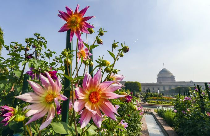 News in Photos (2 February 2020) | Photos of Top News Today - Oneindia Gallery