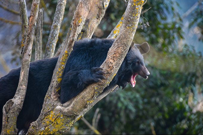News In Photos (3 March 2020) | Photos Of Top News Today - Oneindia Gallery News In Photos (3 March 2020) | Photos Of Top News Today - Oneindia Gallery