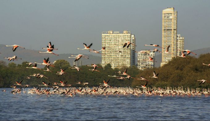 News in Photos (4 March 2020) | Photos of Top News Today - Oneindia Gallery