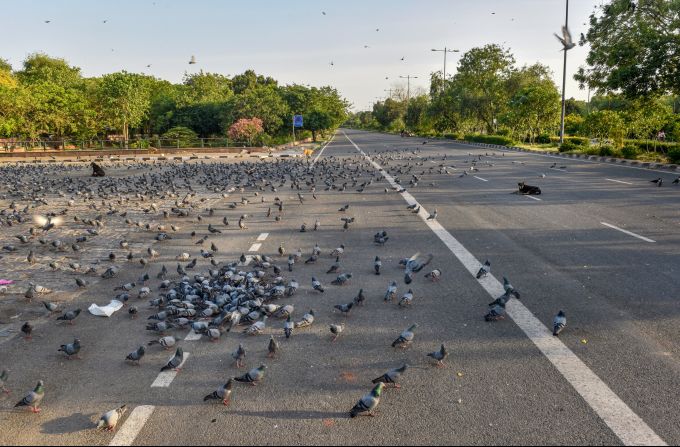 News In Photos (22 April 2020) | Photos Of Top News Today - Oneindia Gallery News In Photos (22 April 2020) | Photos Of Top News Today - Oneindia Gallery