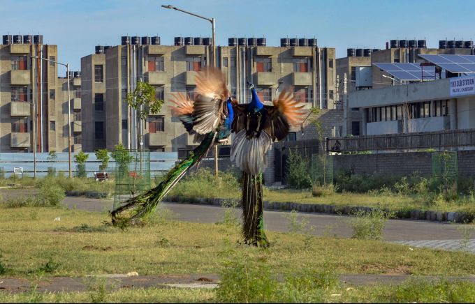 News in Photos (28 April 2020) | Photos of Top News Today - Oneindia Gallery