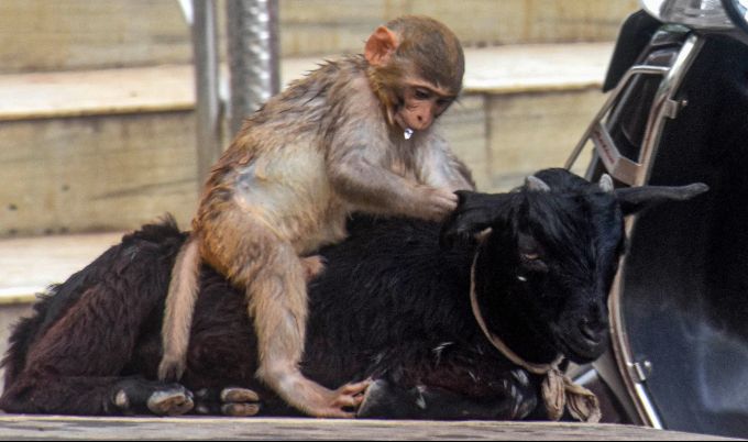 News In Photos (30 May 2020) | Photos Of Top News Today - Oneindia Gallery News In Photos (30 May 2020) | Photos Of Top News Today - Oneindia Gallery