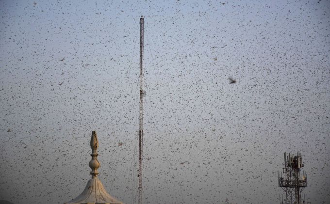 News In Photos (26 June 2020) | Photos Of Top News Today - Oneindia Gallery News In Photos (26 June 2020) | Photos Of Top News Today - Oneindia Gallery