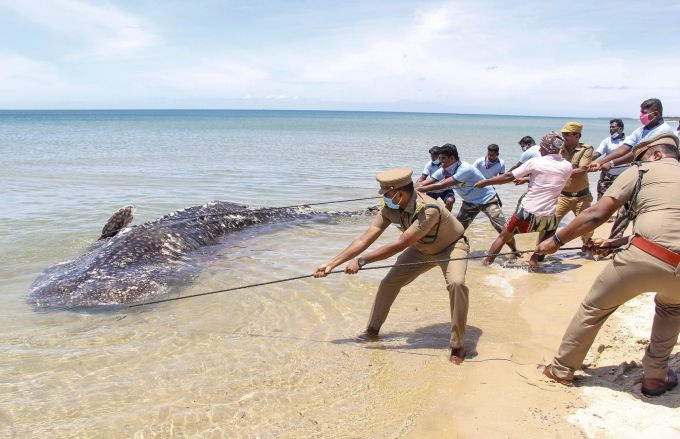 News In Photos (6 June 2020) | Photos Of Top News Today - Oneindia Gallery News In Photos (6 June 2020) | Photos Of Top News Today - Oneindia Gallery