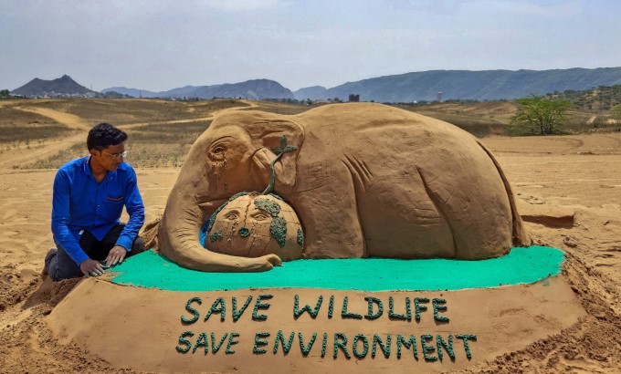 World Environmental Day 2020 World Environmental Day 2020