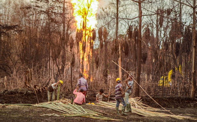 Massive Fire At Assam's Baghjan Oil Field Massive Fire At Assam's Baghjan Oil Field