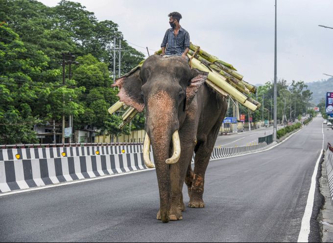 News In Photos (3 July 2020) | Photos Of Top News Today - Oneindia Gallery News In Photos (3 July 2020) | Photos Of Top News Today - Oneindia Gallery