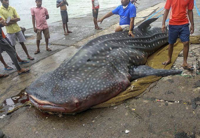 News In Photos (12 August 2020) | Photos Of Top News Today - Oneindia Gallery News In Photos (12 August 2020) | Photos Of Top News Today - Oneindia Gallery