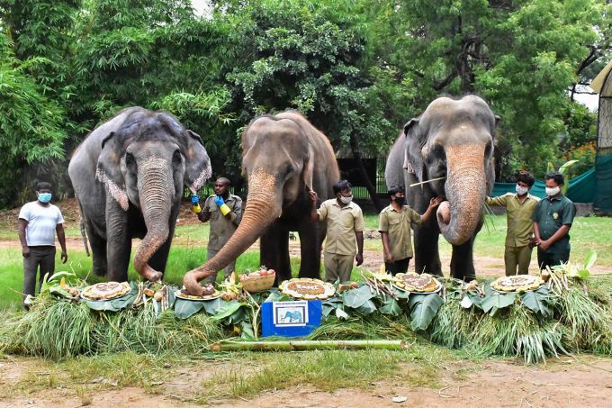 News In Photos (12 August 2020) | Photos Of Top News Today - Oneindia Gallery News In Photos (12 August 2020) | Photos Of Top News Today - Oneindia Gallery