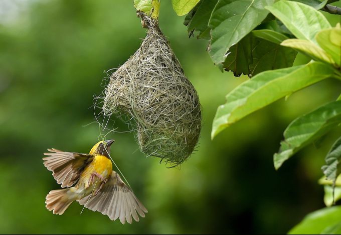 News in Photos (19 August 2020) | Photos of Top News Today - Oneindia Gallery