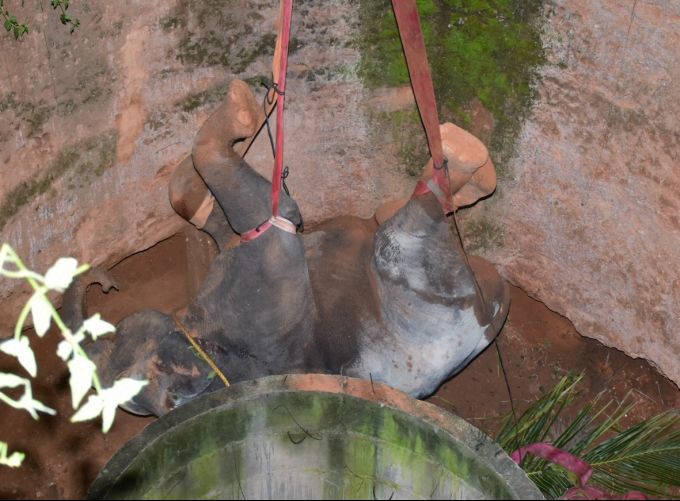 News In Photos (19 November 2020) | Photos Of Top News Today - Oneindia Gallery News In Photos (19 November 2020) | Photos Of Top News Today - Oneindia Gallery