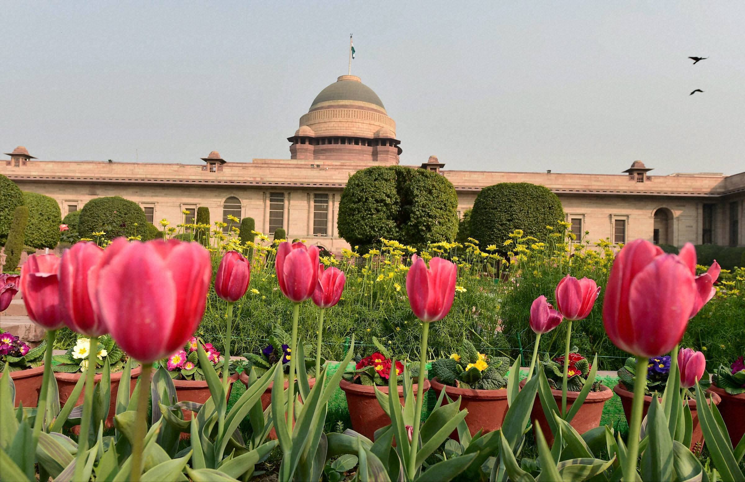 देखें विश्व प्रसिद्ध 'मुगल गार्डन' की खूबसूरत तस्वीरें देखें विश्व प्रसिद्ध 'मुगल गार्डन' की खूबसूरत तस्वीरें