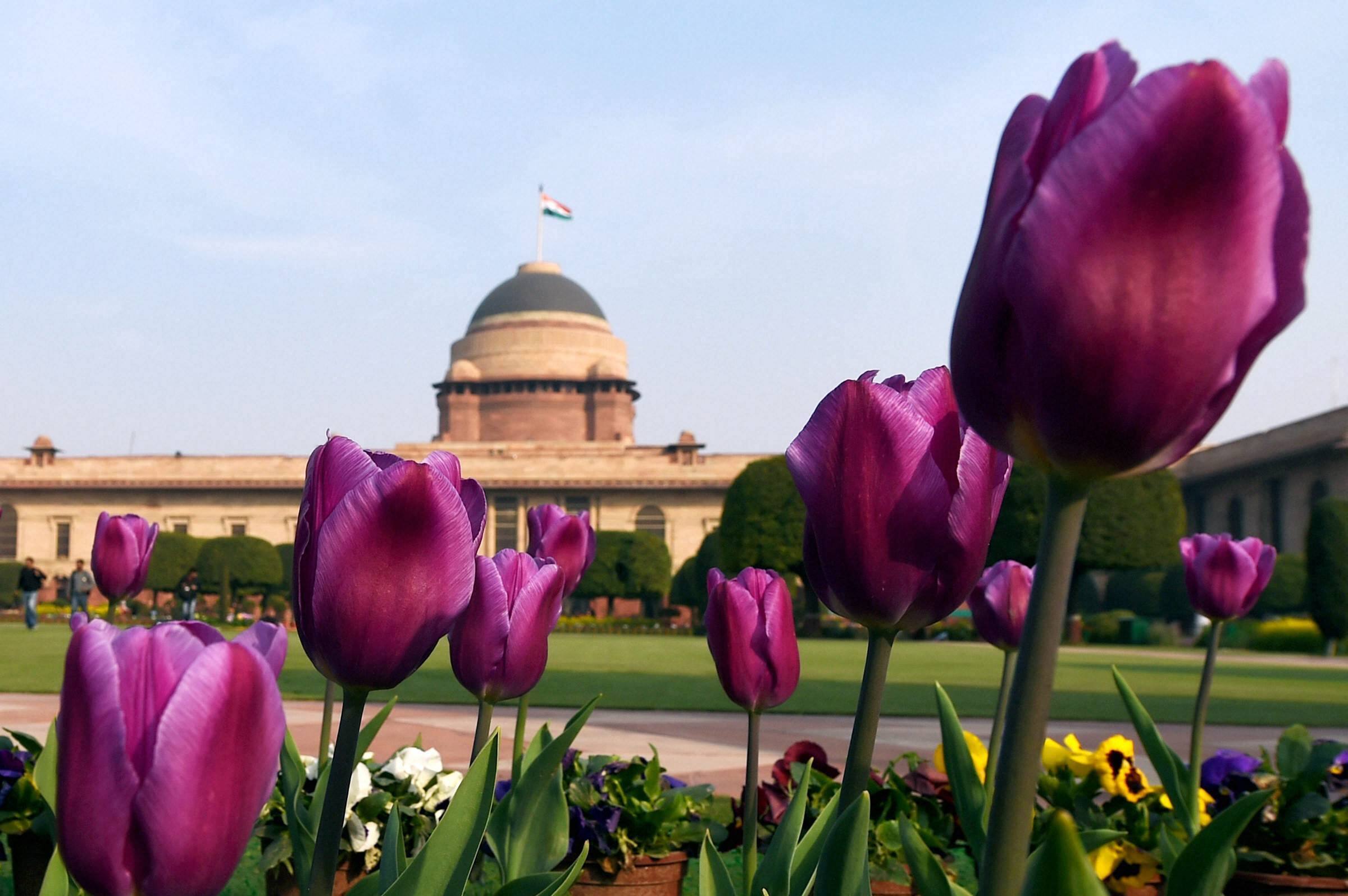 देखें विश्व प्रसिद्ध 'मुगल गार्डन' की खूबसूरत तस्वीरें देखें विश्व प्रसिद्ध 'मुगल गार्डन' की खूबसूरत तस्वीरें