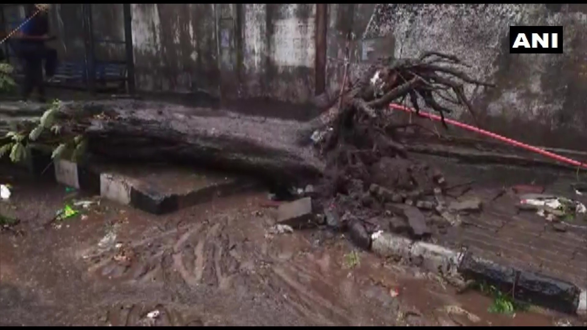 Cyclone Tauktae 2021 photos Cyclone Tauktae 2021 photos Oneindia