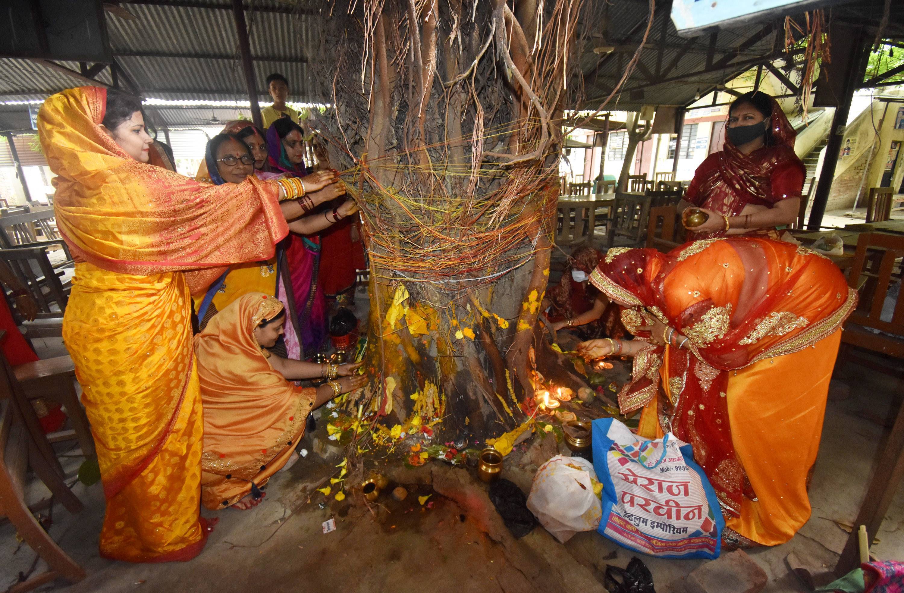 Vat Savitri Puja 2021 Celebration in India, Pics വട് സാവിത്രി പൂജ