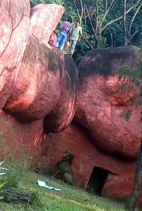 News In Photos (23 November 2021) | Photos Of Top News Today - Oneindia Gallery News In Photos (23 November 2021) | Photos Of Top News Today - Oneindia Gallery