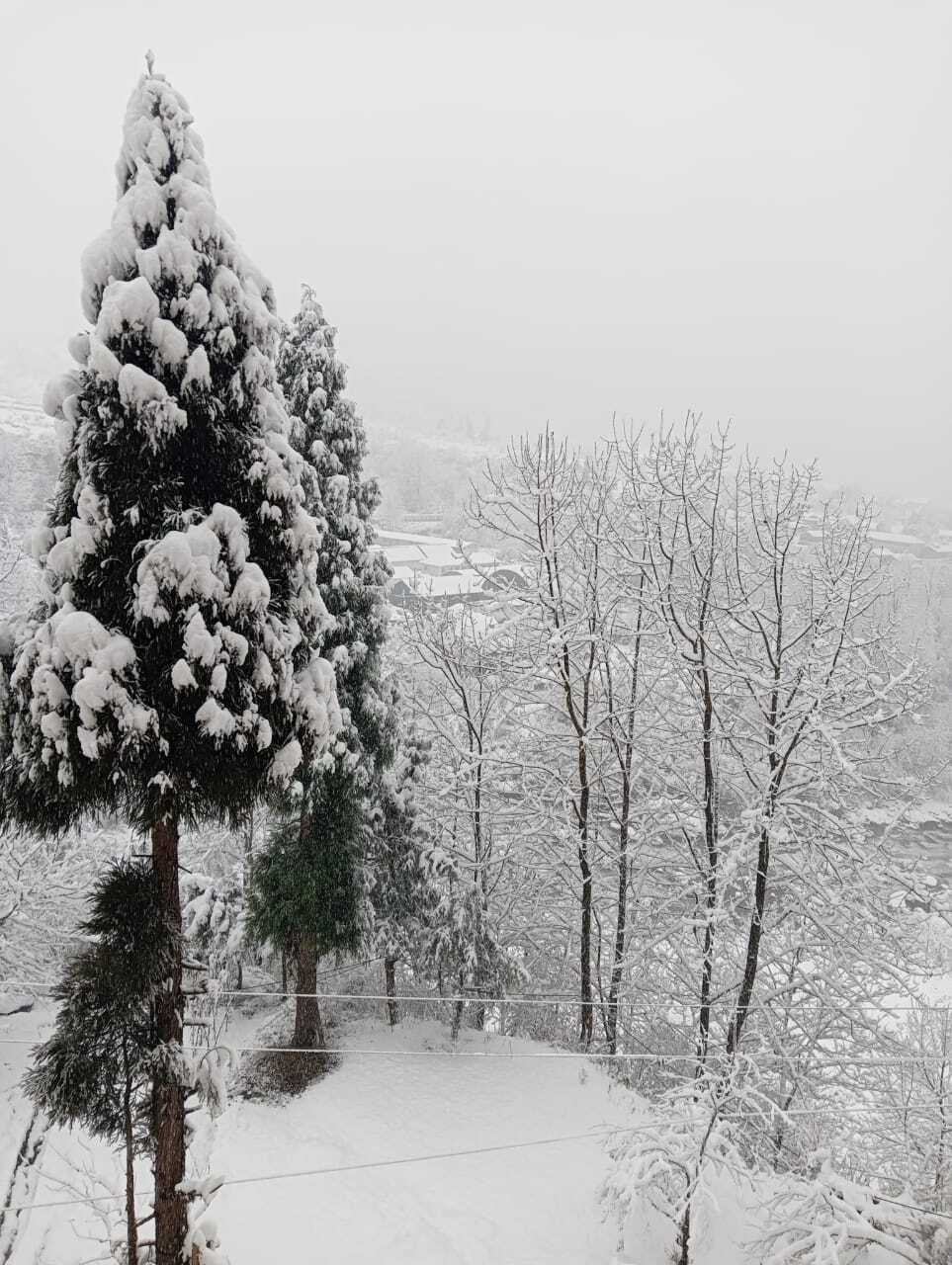 বরফে ঢাকা লাচুংয়ের নজরকাড়া ছবি, দেখুন ছবি Spectacular pictures of Lachung covered in snow