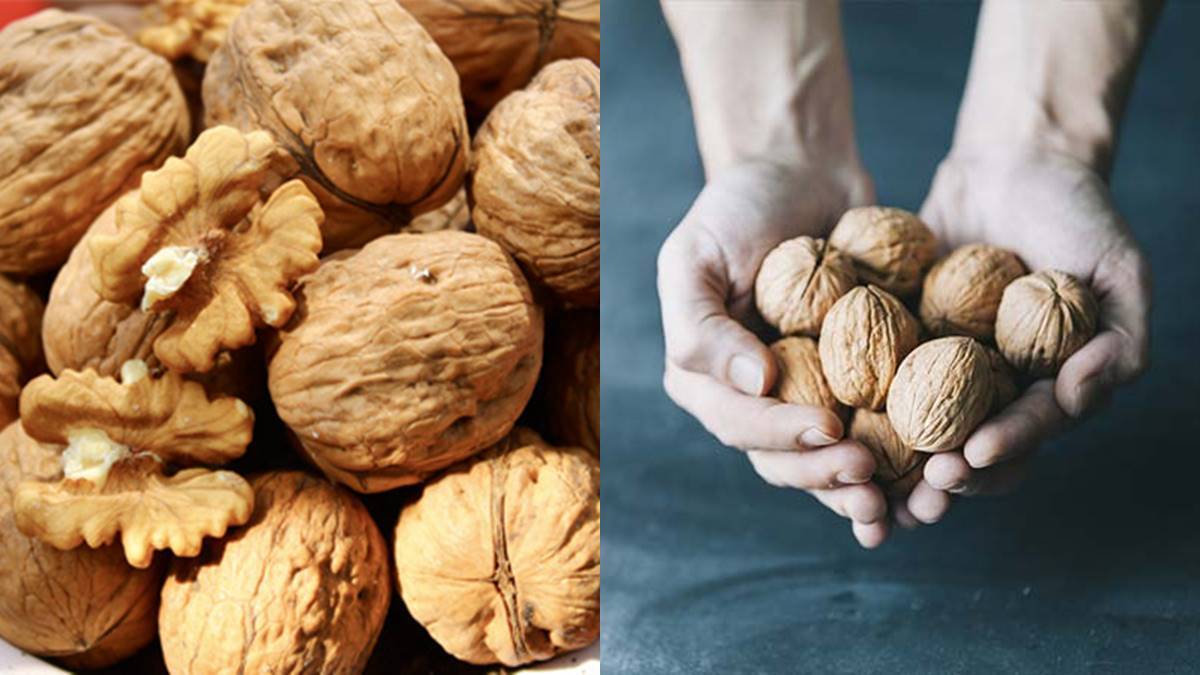 WalnutInclude Walnut In Your Diet , Know These Health Benifits