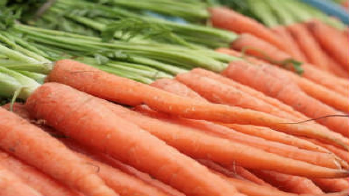 Carrot Benefits For Hair, Eye, And Skin Carrot Benefits കാരറ്റ്