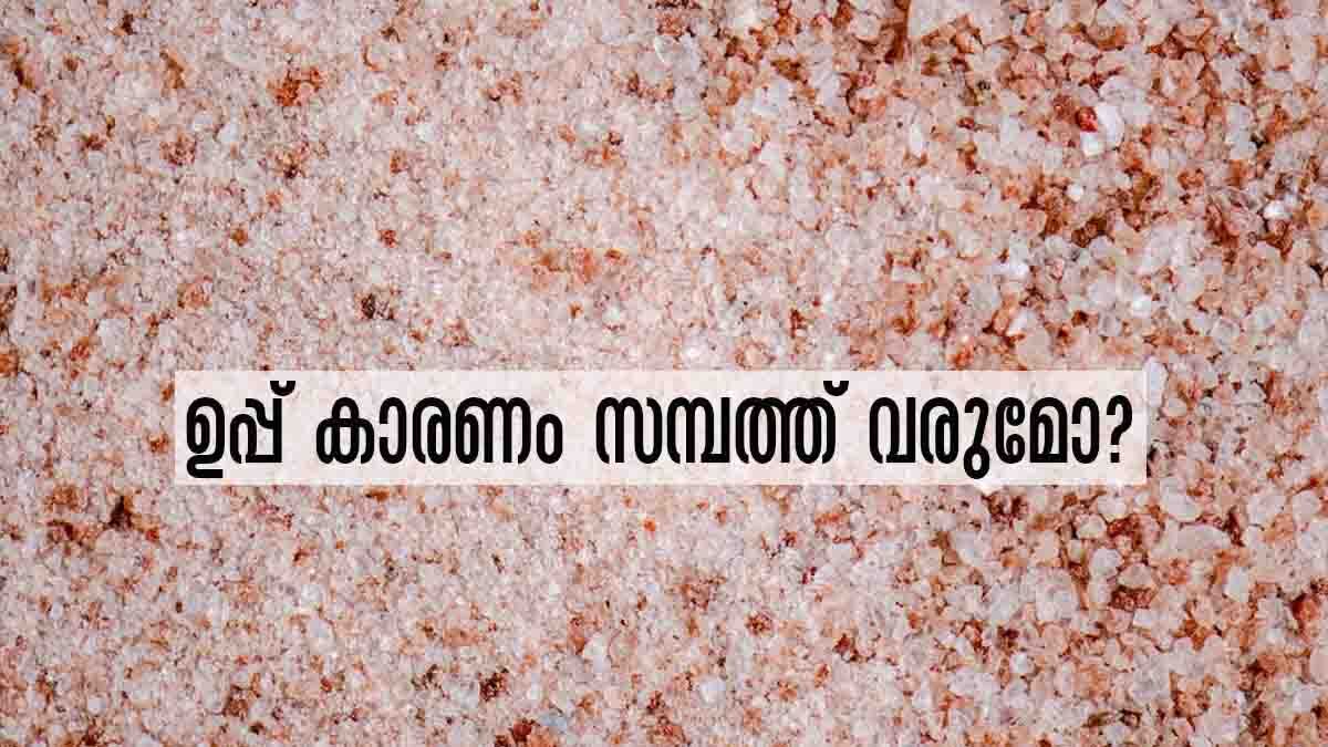 Vastu Tips Use Salt To Bring Prosperity And Happiness In Your Life Vastu Tips 