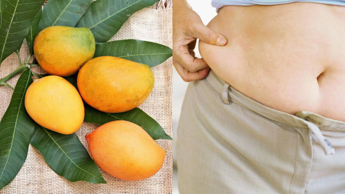 Mango And Weight gain; Will Having Too Much Mango Lead to Weight Gain