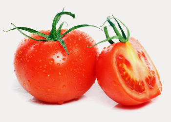Bangalore Tomato