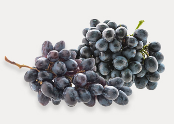 Black Grape