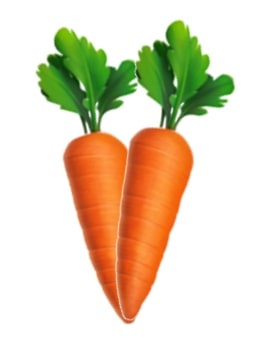 Carrot