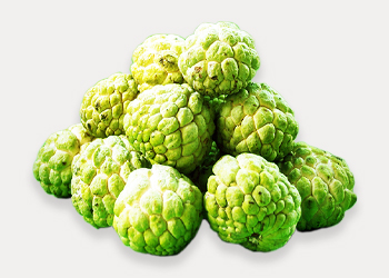 Custard Apple