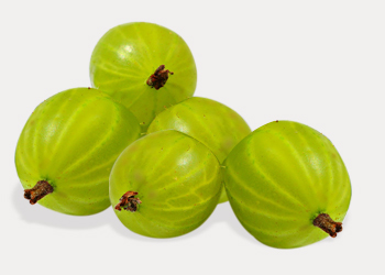 Gooseberry