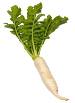 Radish