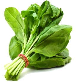 Spinach Rate Today (11th Aug 2023), Spinach Market Price in India